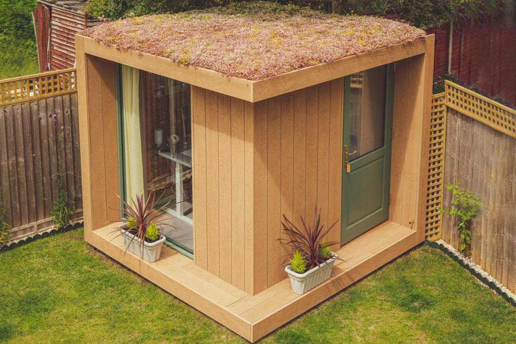 Sedum helps add biodiversity and insulation to your garden room e.g for a garden yoga studio.