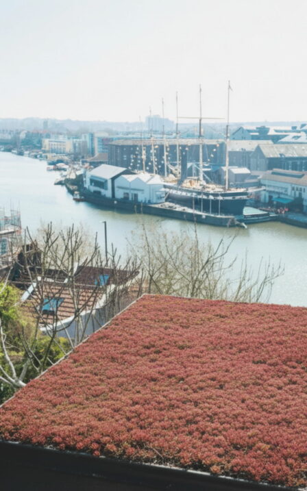 Sedum roof overlooking Bristol harbourside.