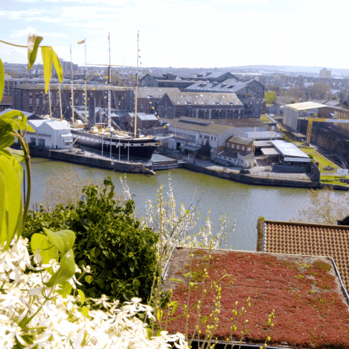 View over sedum roof looking out to Bristol harbourside.