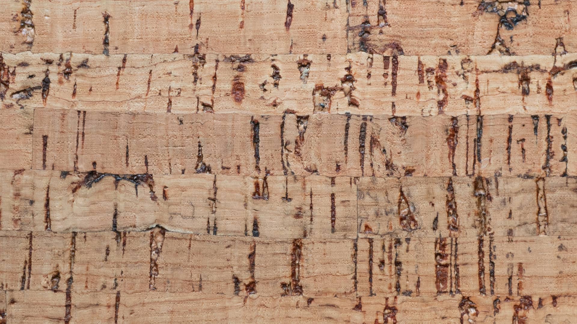 Detail of cork wall, Bali.