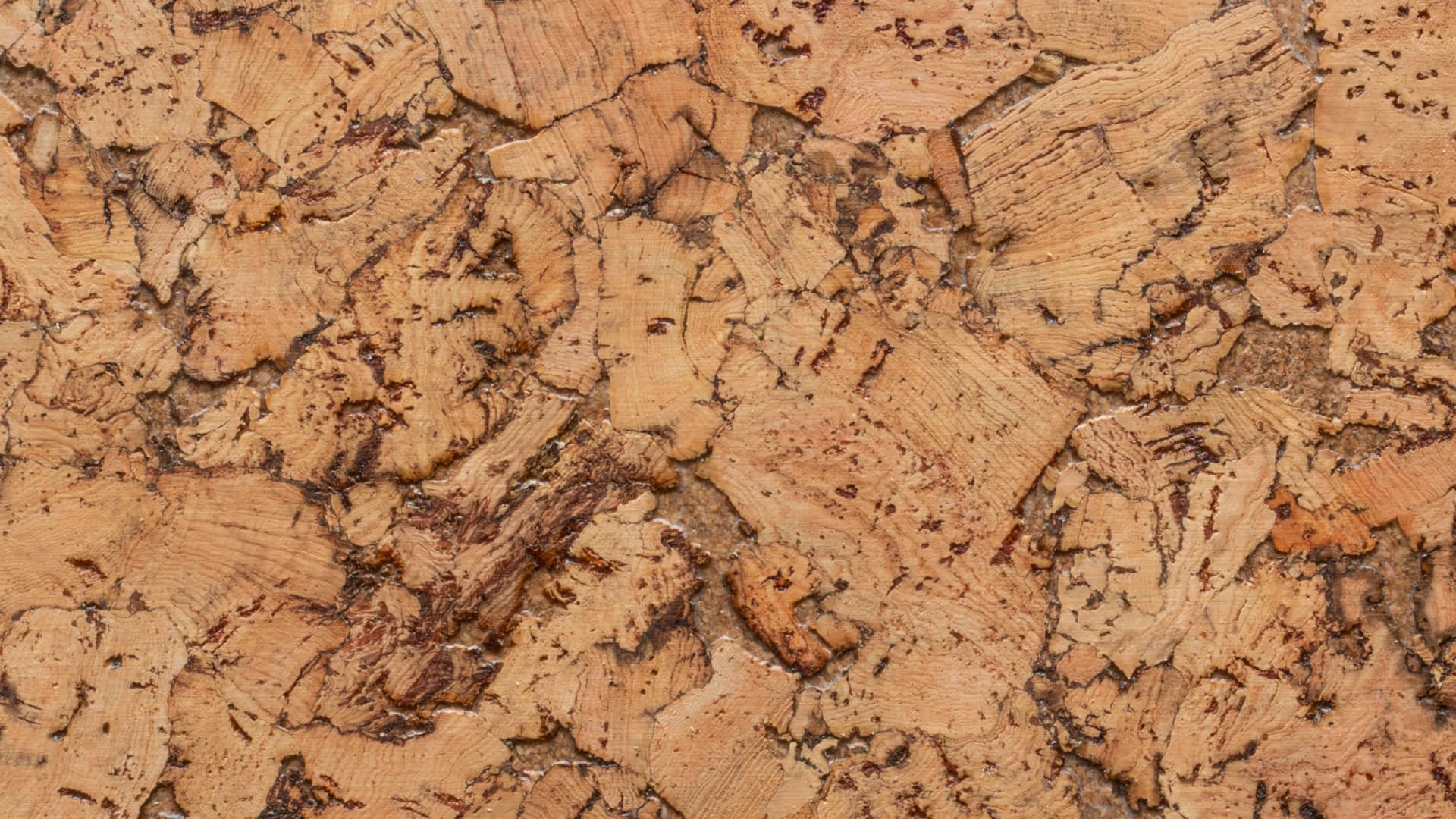 Detail of cork wall, Hawaii.