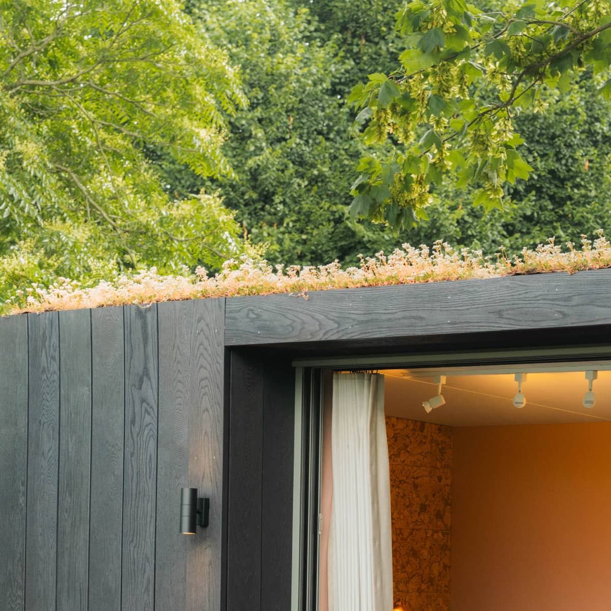 Sedum roof on Little Green Room