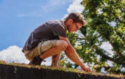 Install team fitting sedum roof