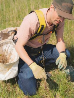 Tree planting with 9trees.