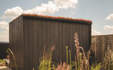 Sedum roof on Little Green Room in burnt cedar.