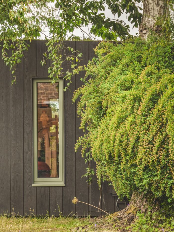 Little Green Room in burnt cedar