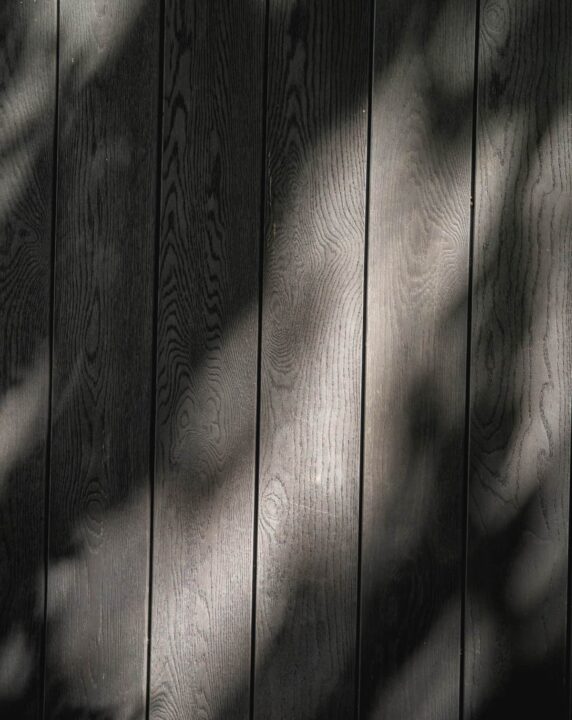Speckle on burnt cedar cladding