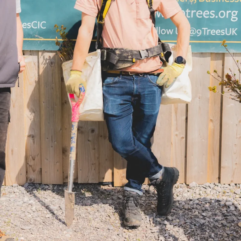 Little Green Room tree planting
