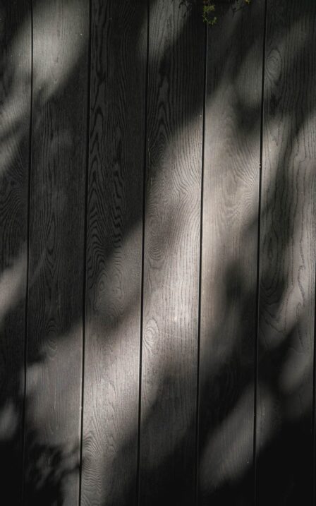 Speckle of shadow on burnt cedar