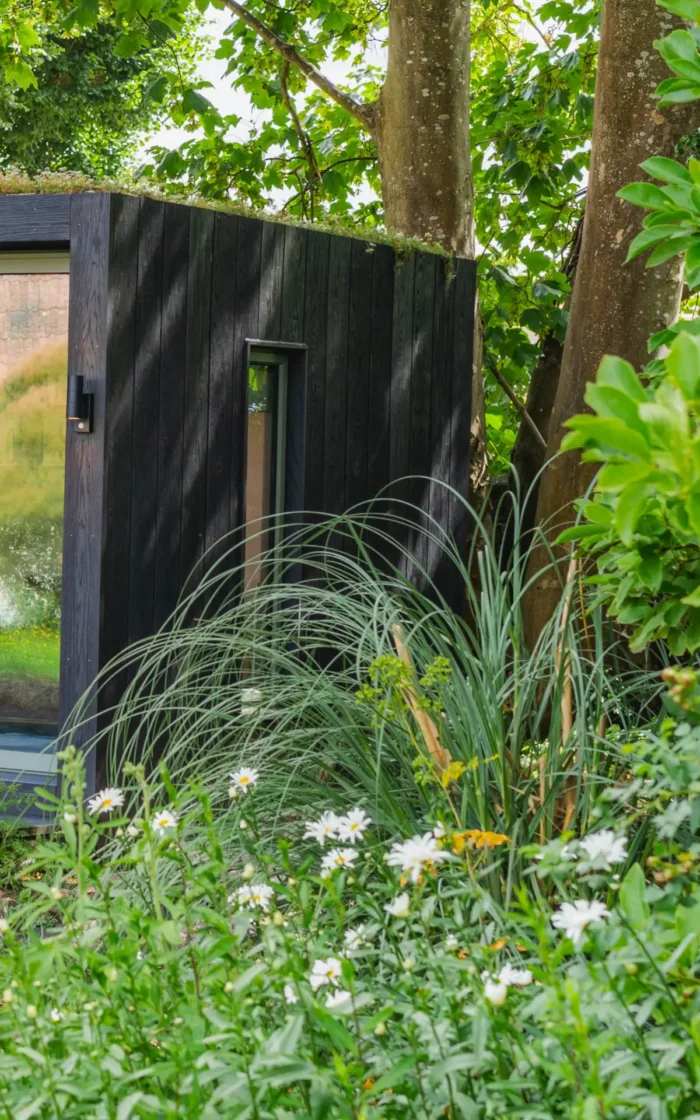 Little Green Room in burnt cedar surrounded by plants